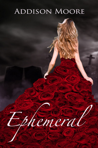 The Countenance book cover 1