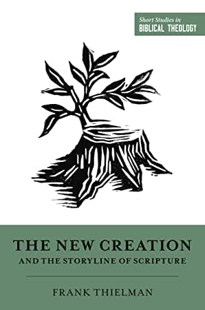 The New Creation and the Storyline of Scripture book cover