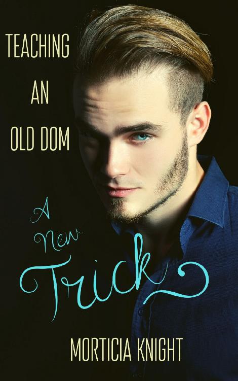 Teaching an Old Dom a New Trick book cover