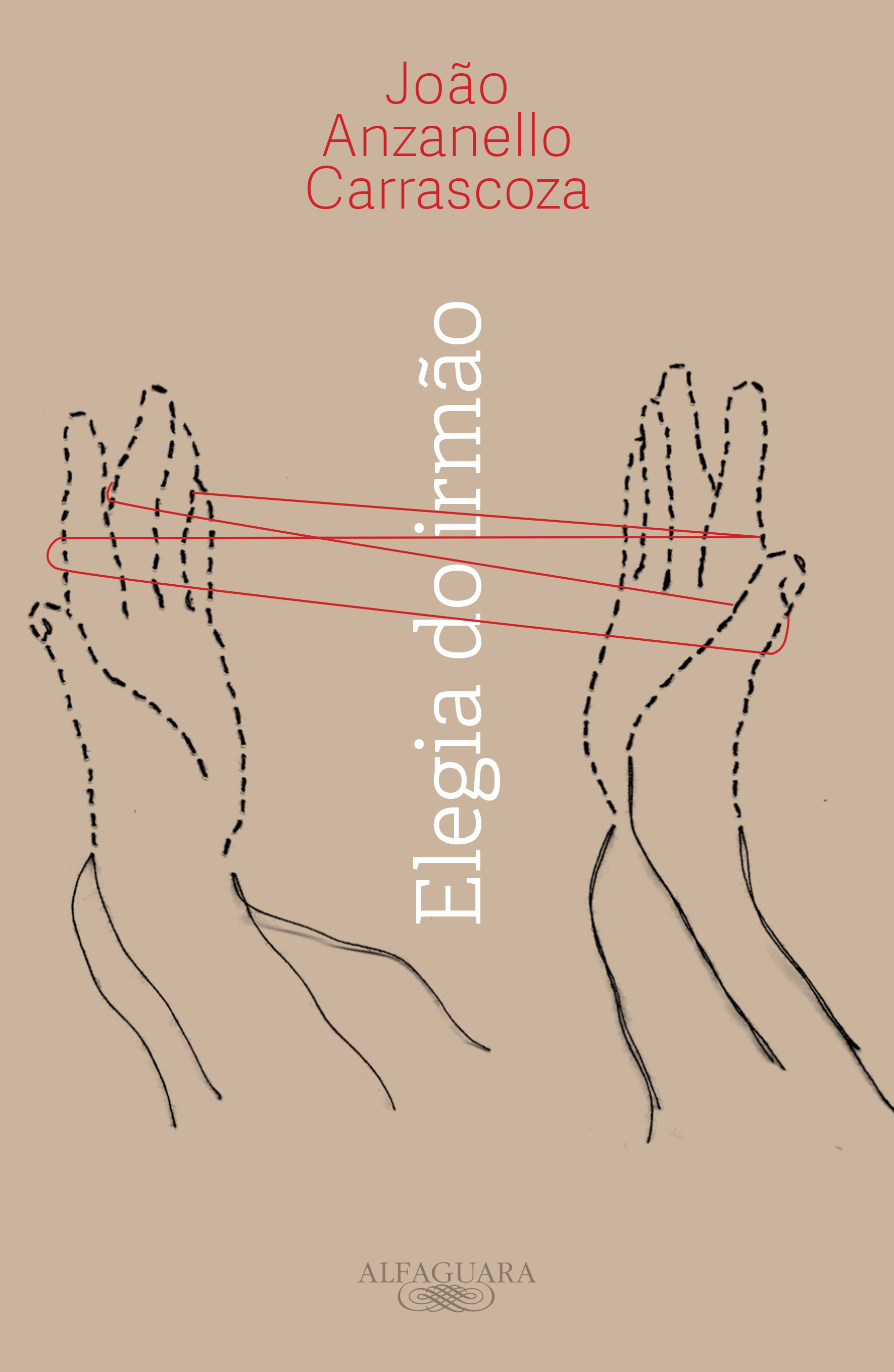 Elegia do irmão book cover