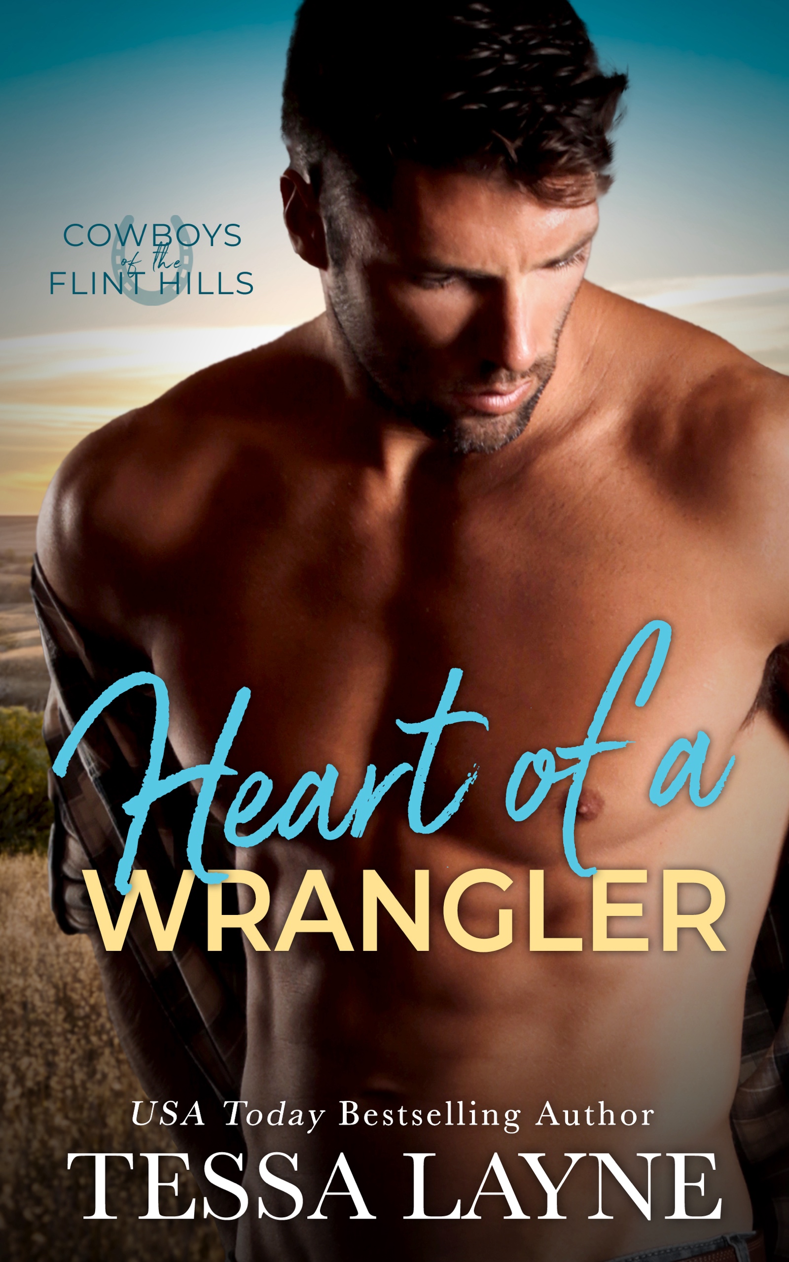 Cowboys of the Flint Hills book cover 3