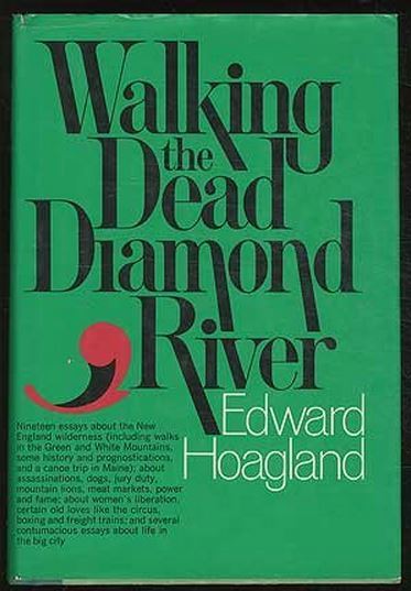 Walking the Dead Diamond River book cover