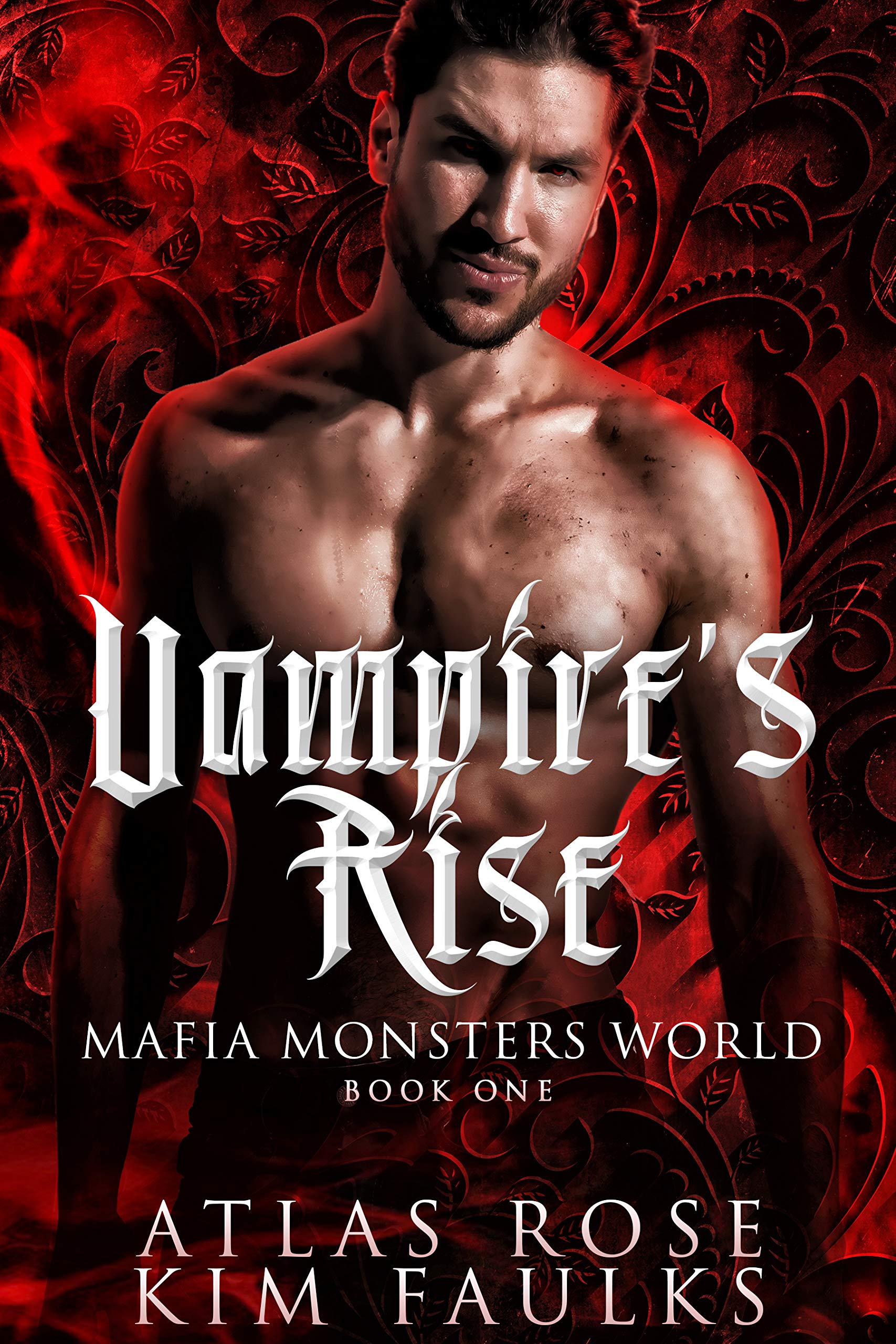 Vampire's Rise book cover