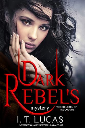 Dark Rebel's Mystery book cover