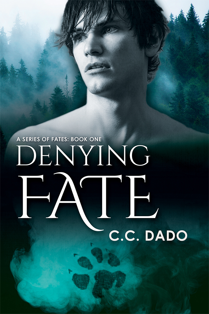 A Series of Fates book cover 1