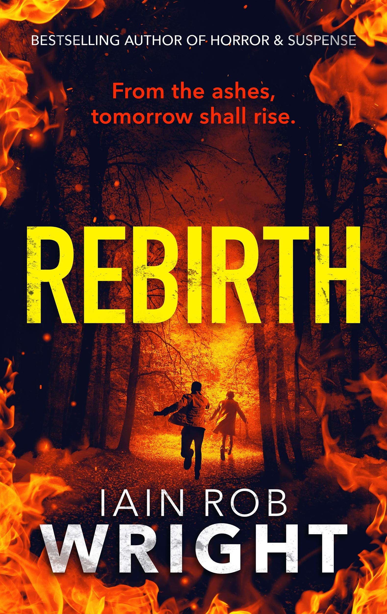 Rebirth book cover