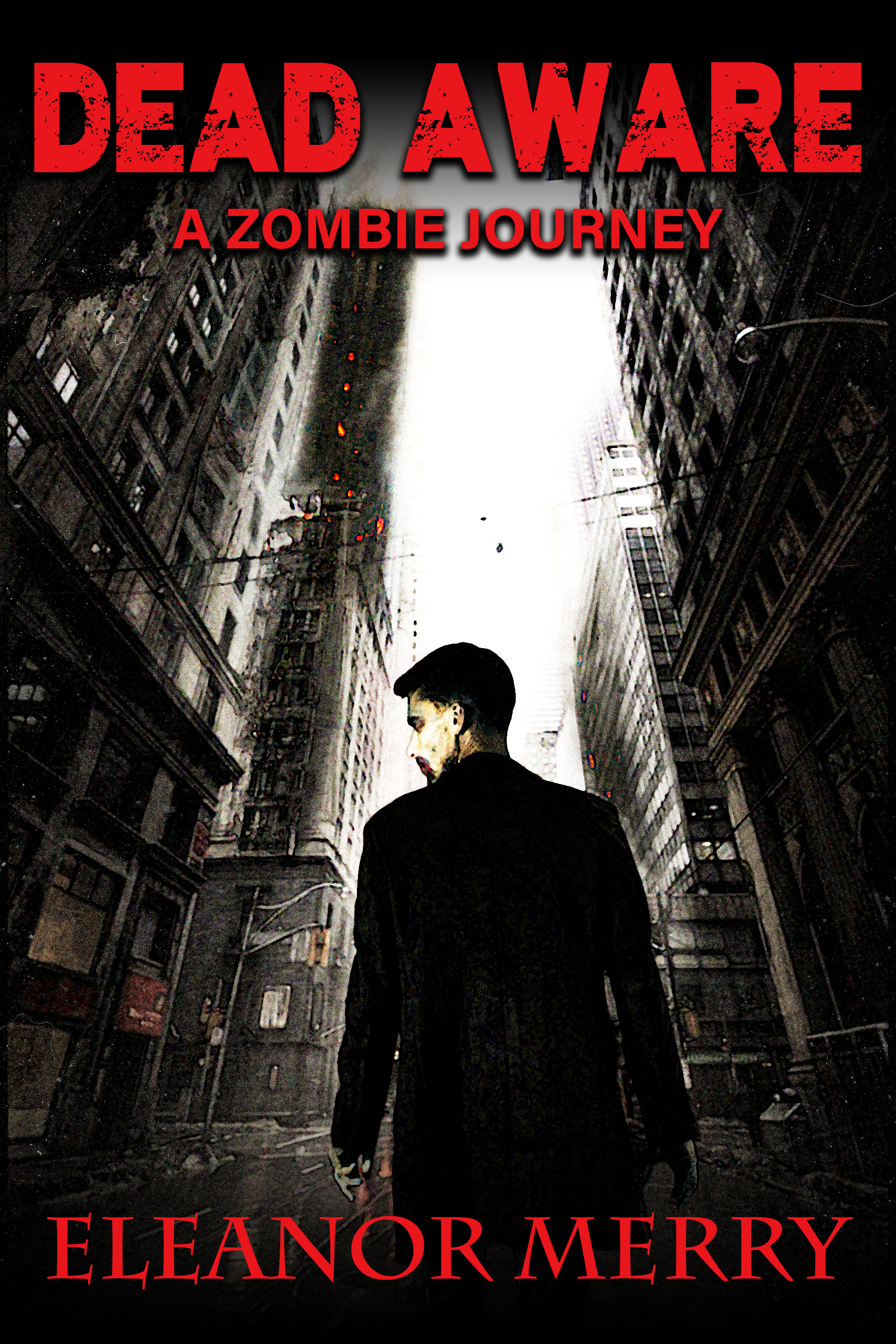 Dead Aware book cover