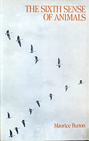The Sixth Sense of Animals book cover