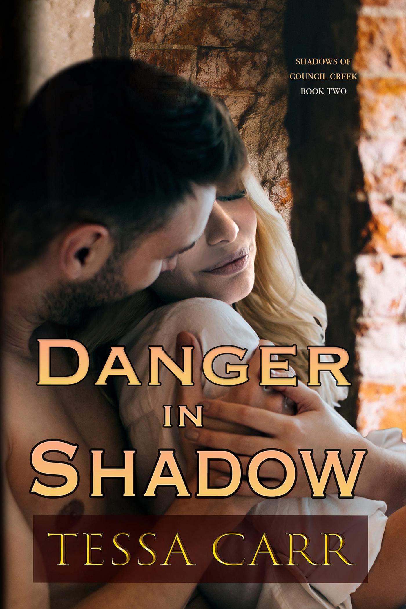 Danger in Shadow book cover