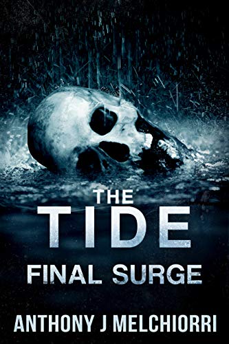 Final Surge book cover