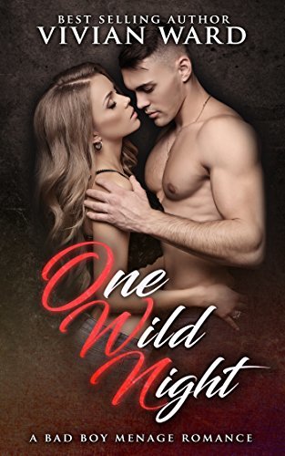 One Wild Night book cover