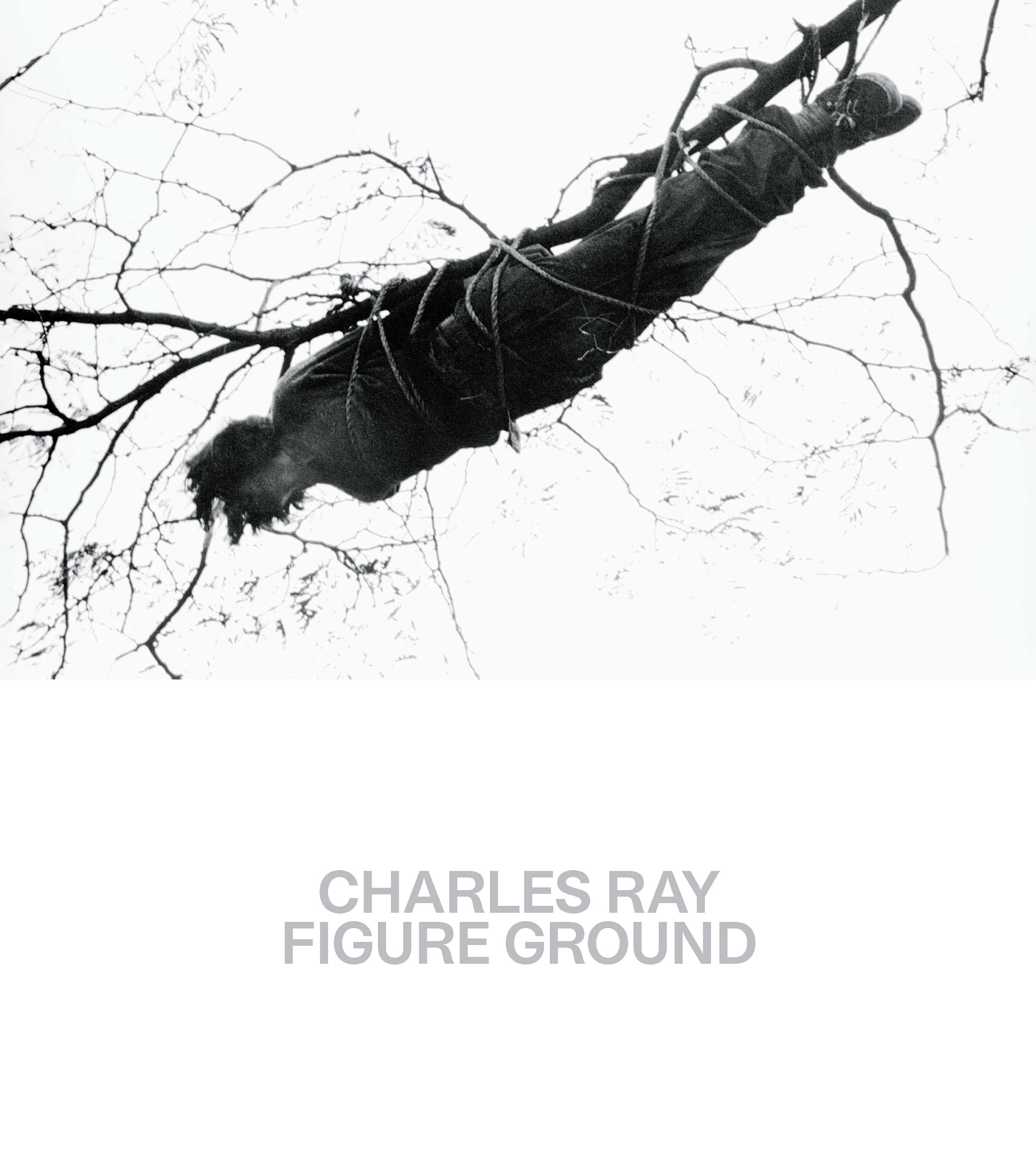 Charles Ray book cover