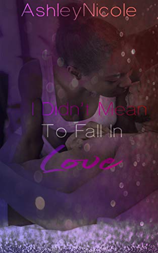 I Didn't Mean To Fall In Love book cover