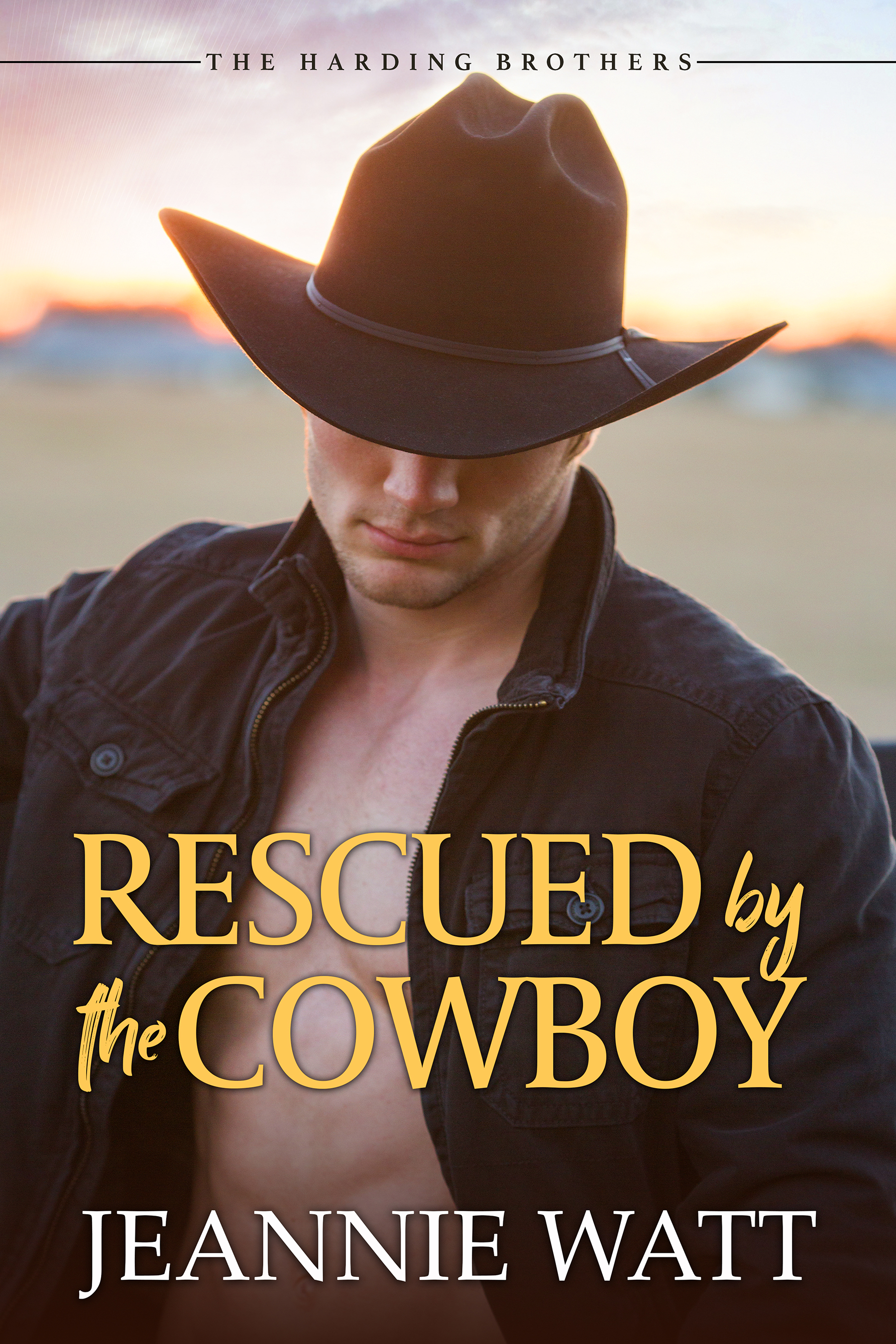 Rescued by the Cowboy book cover
