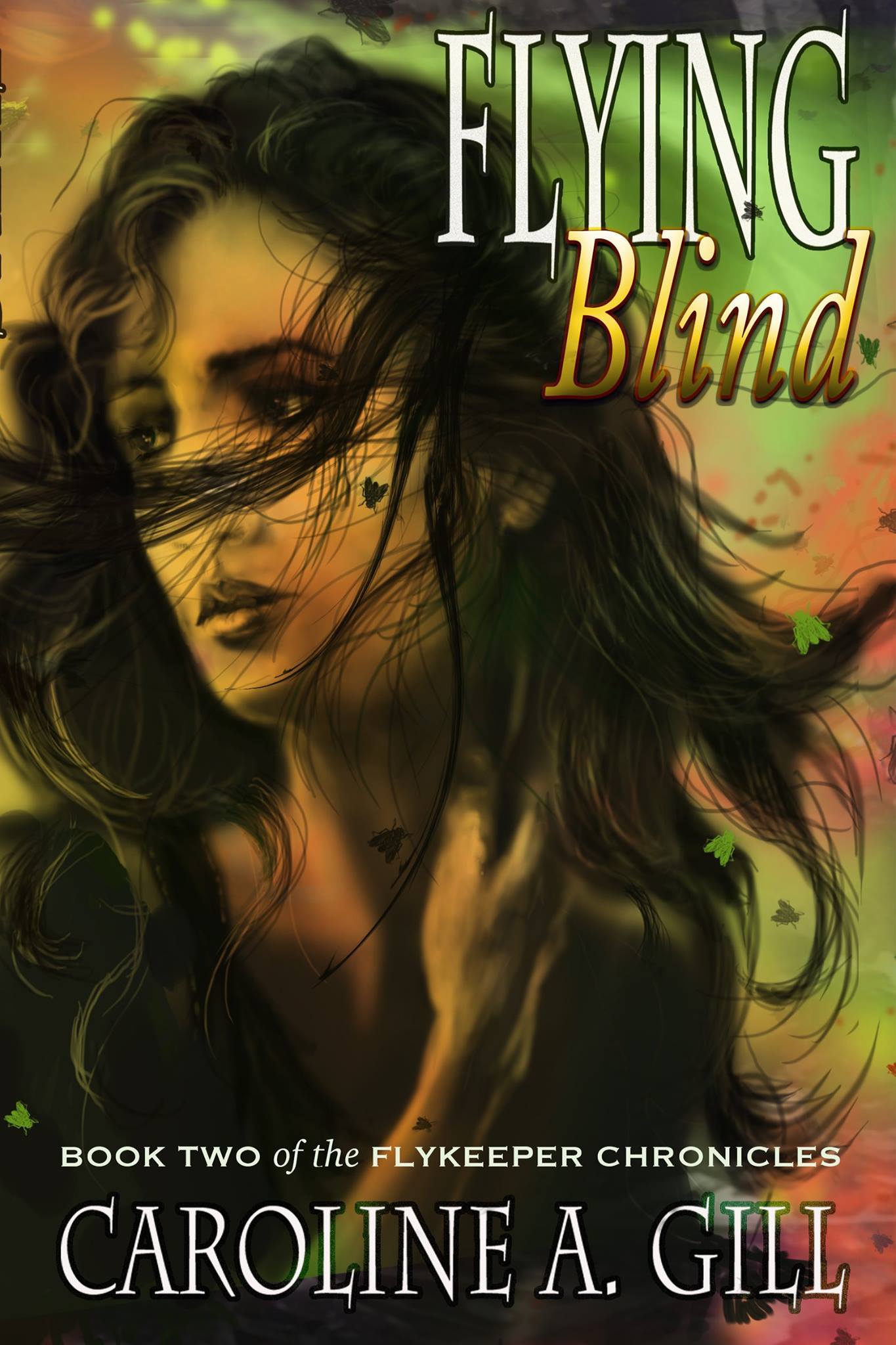 The Flykeeper Chronicles book cover 2