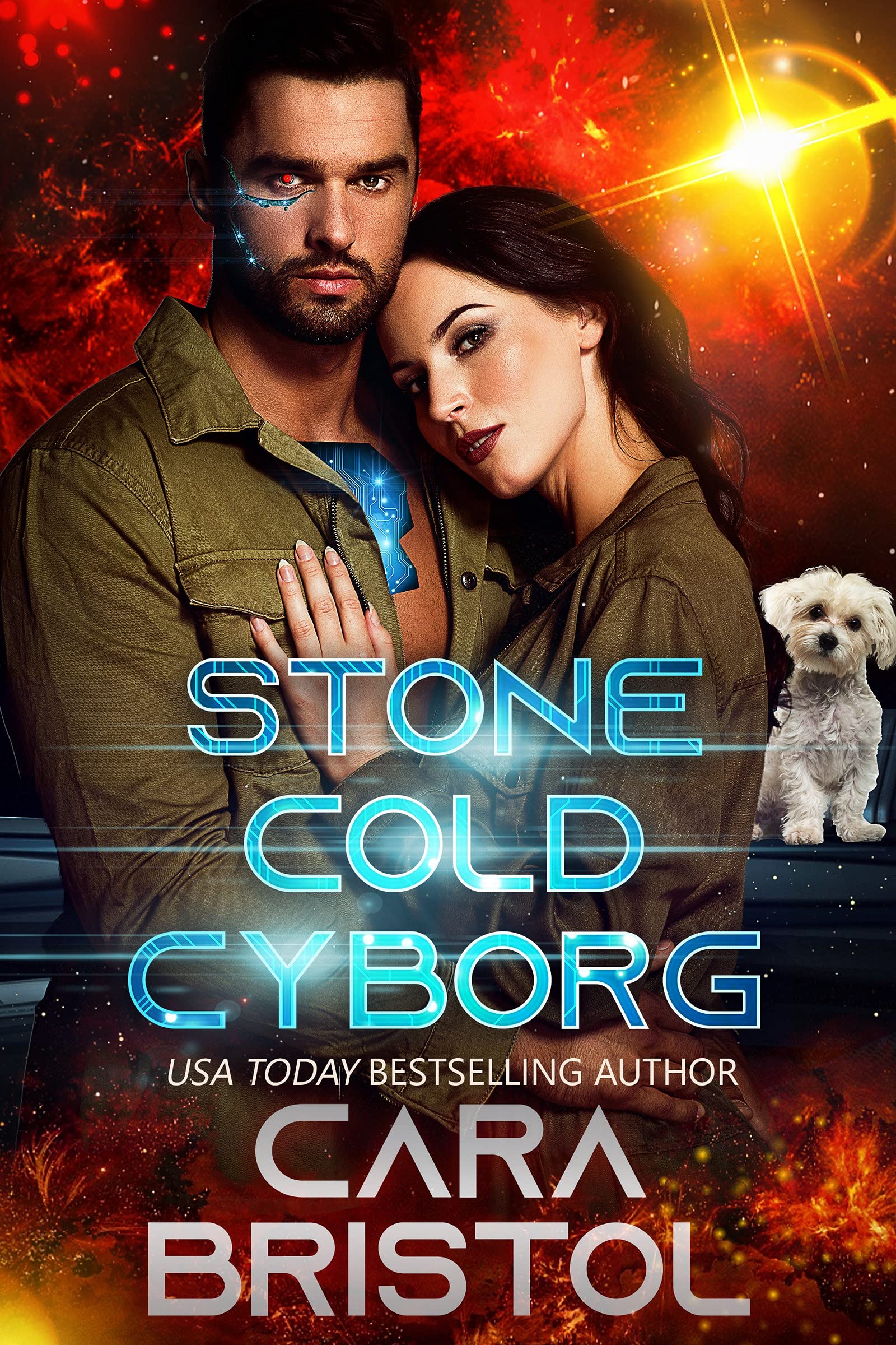 Stone Cold Cyborg book cover