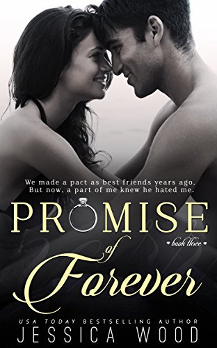 Promises book cover 3