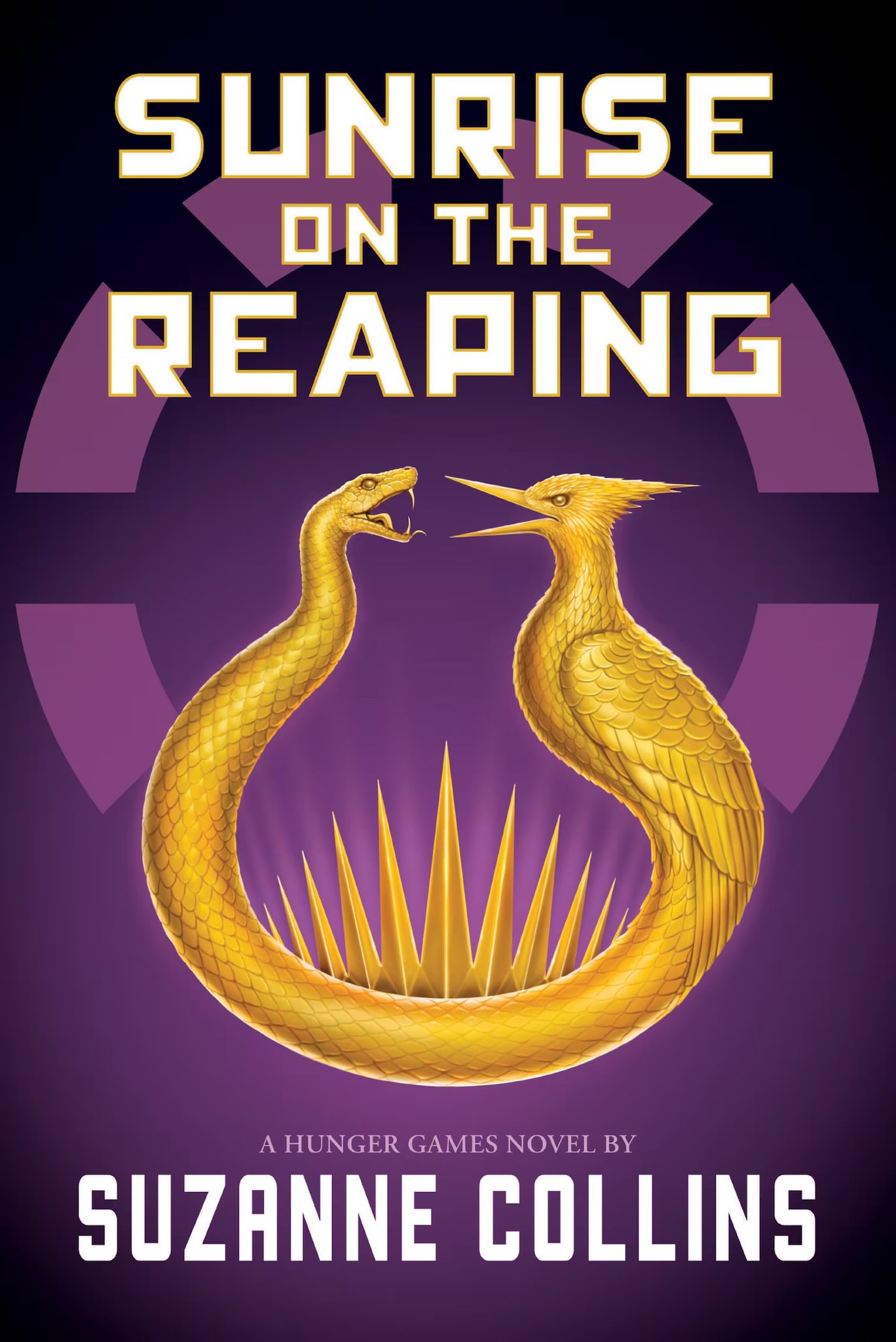 Fajar di Hari Pemungutan book cover