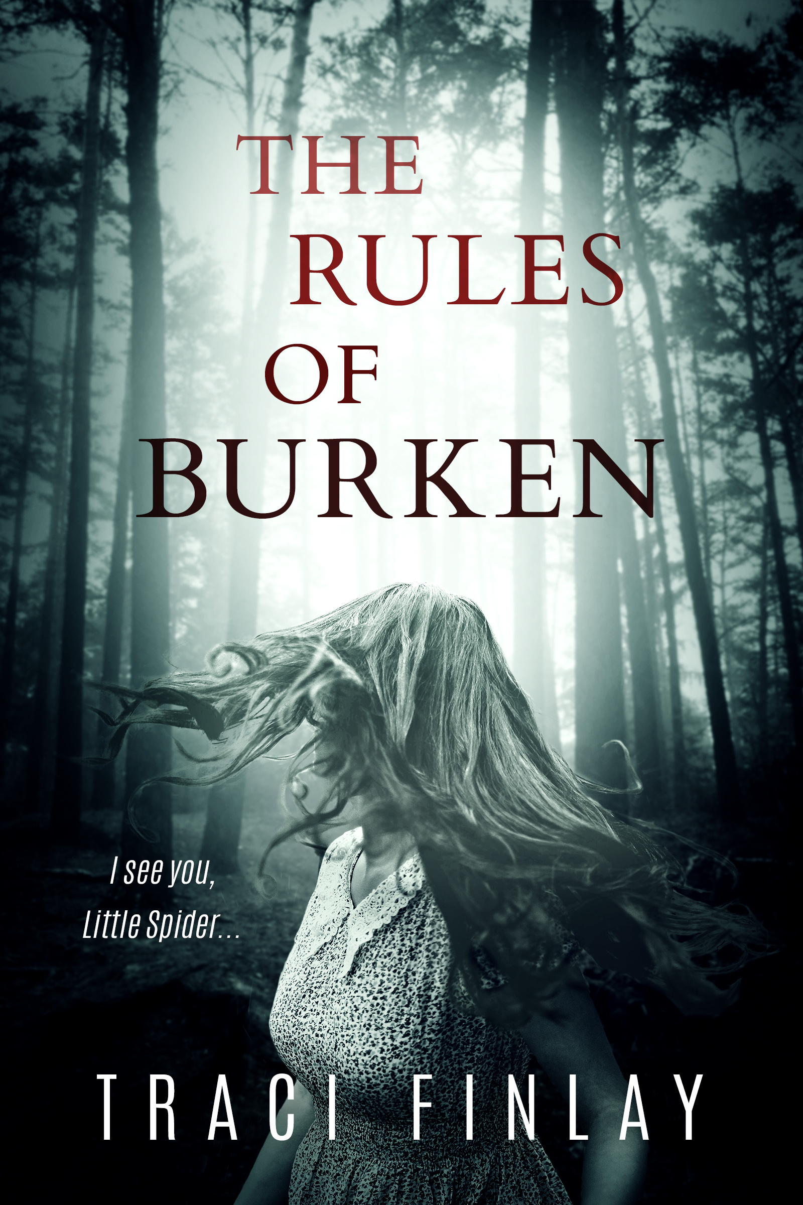 The Rules of Burken book cover