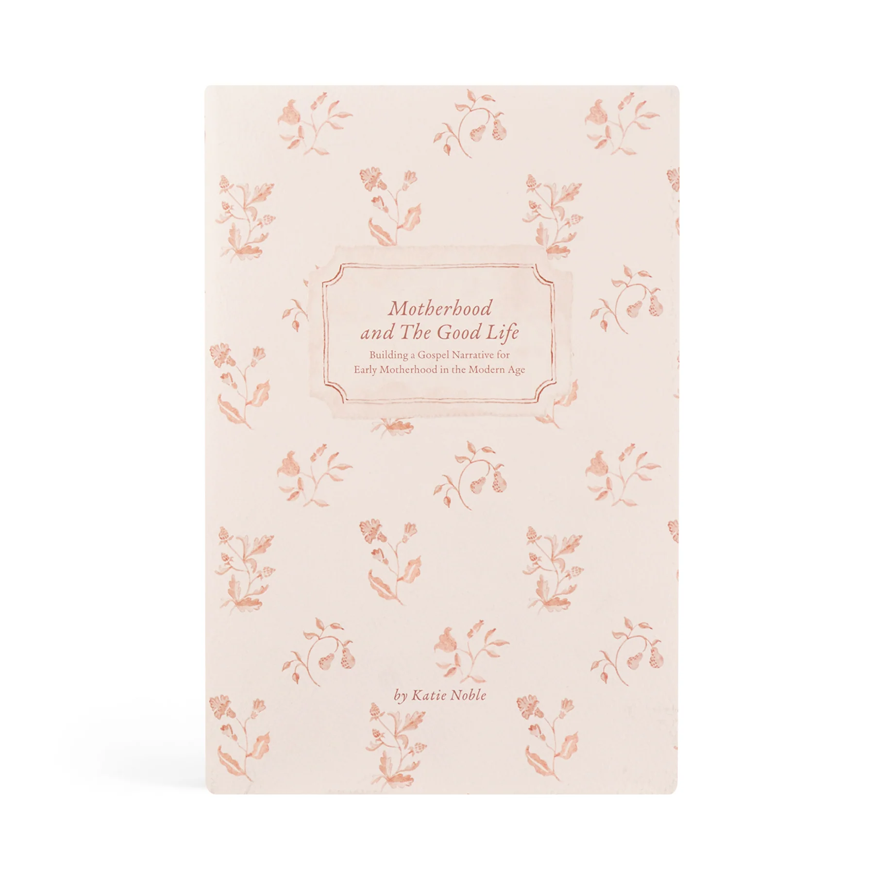 Motherhood and the Good Life book cover