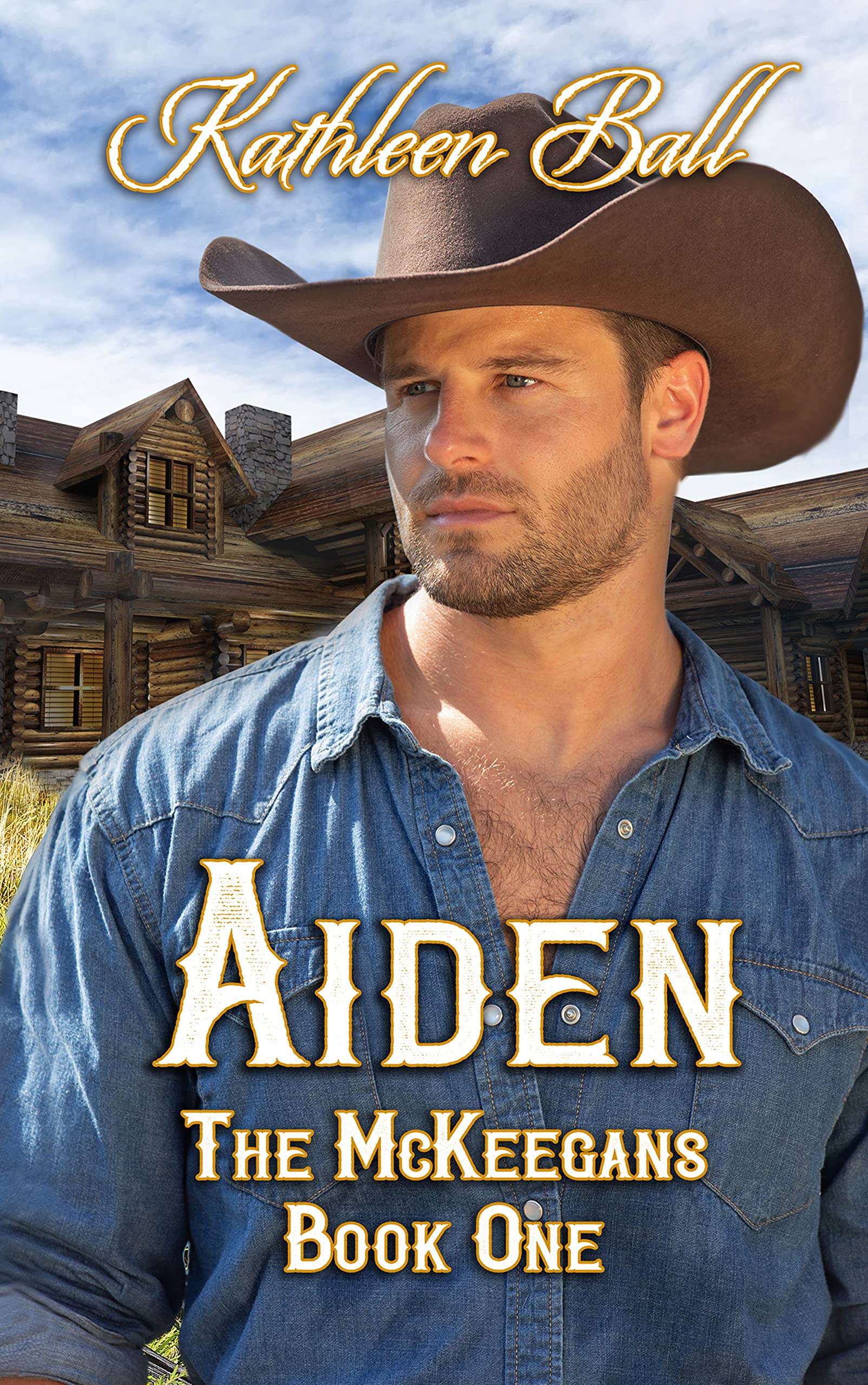 The McKeegans book cover 1
