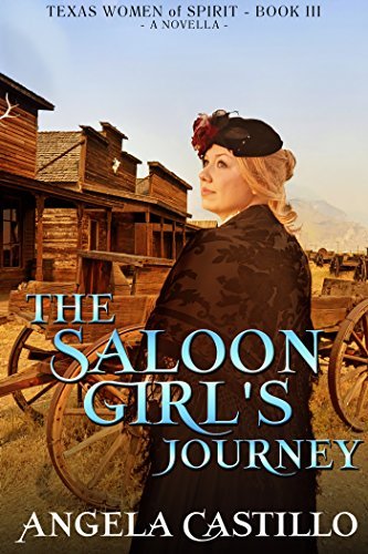 The Saloon Girl's Journey book cover