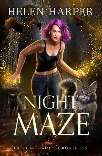 Night Maze book cover