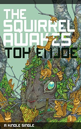 The Squirrel Awakes book cover