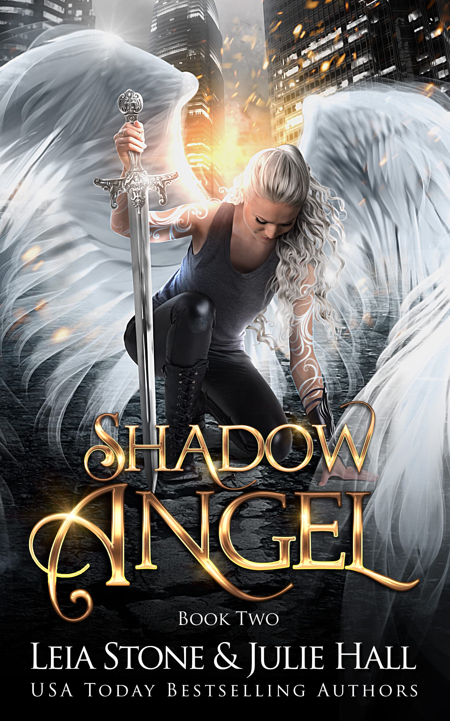 Shadow Angel book cover 2