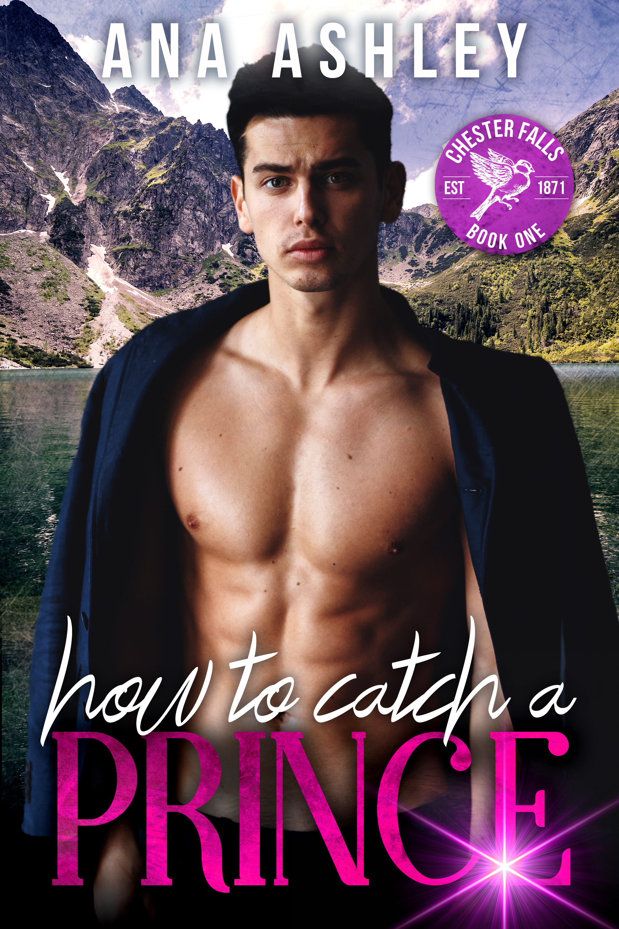 Chester Falls book cover 2