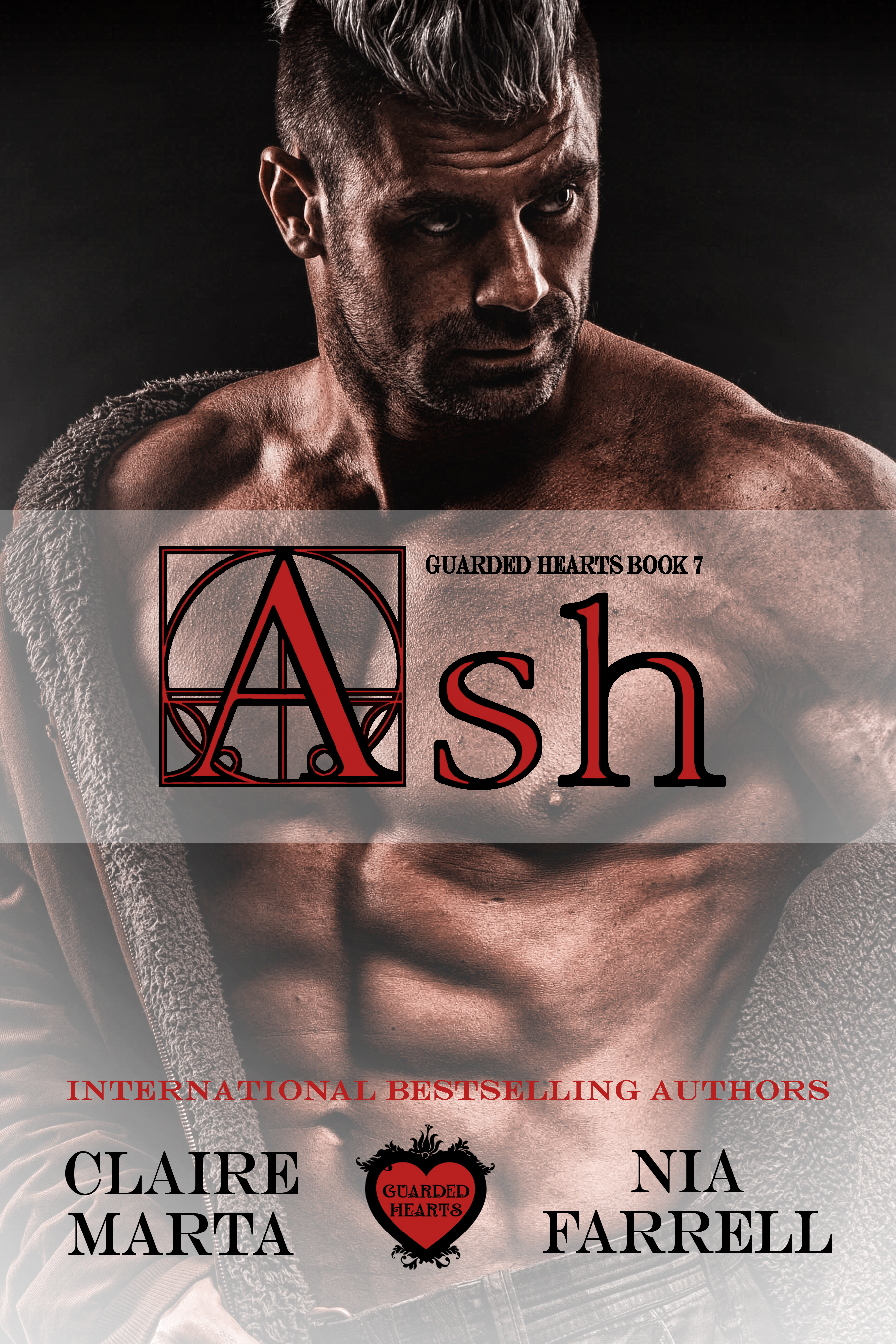 Ash book cover
