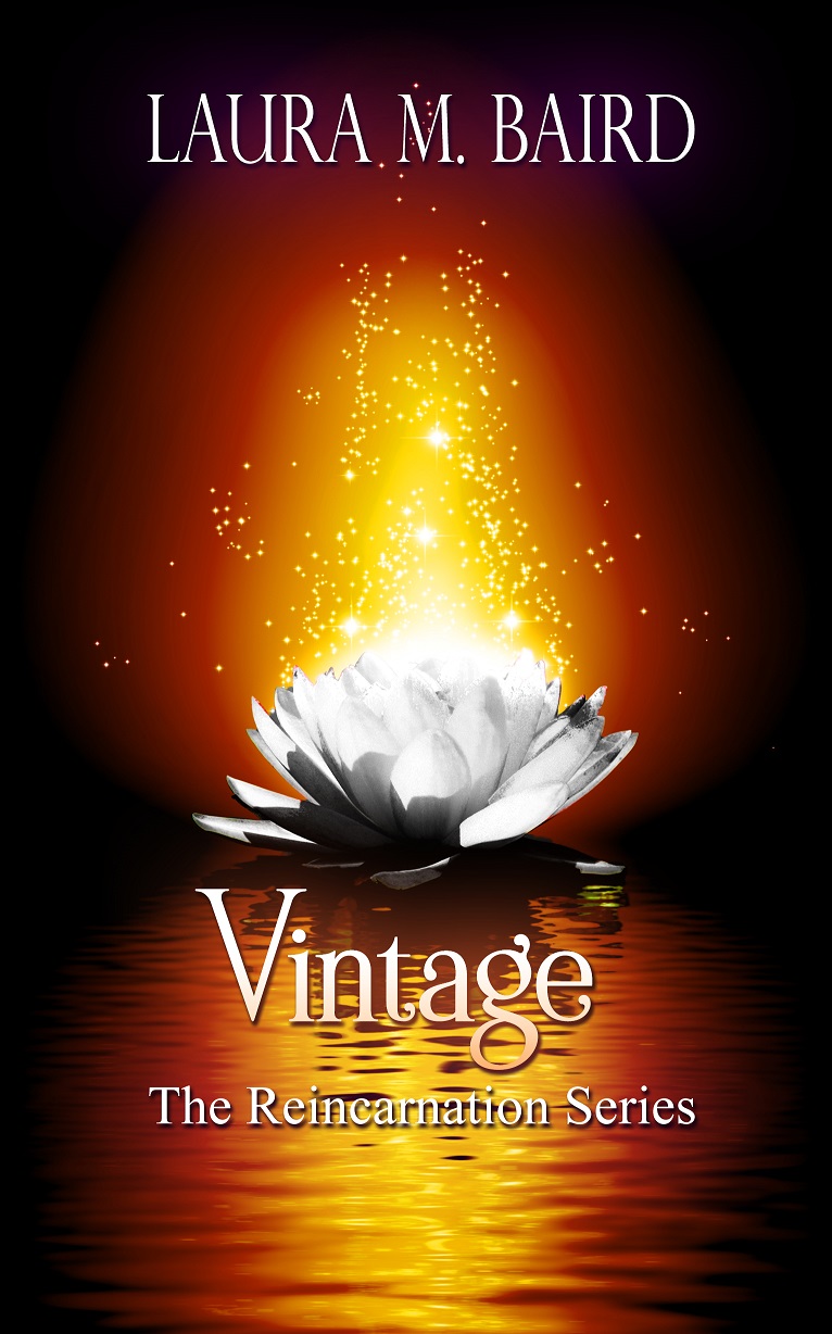 The Reincarnation book cover 1