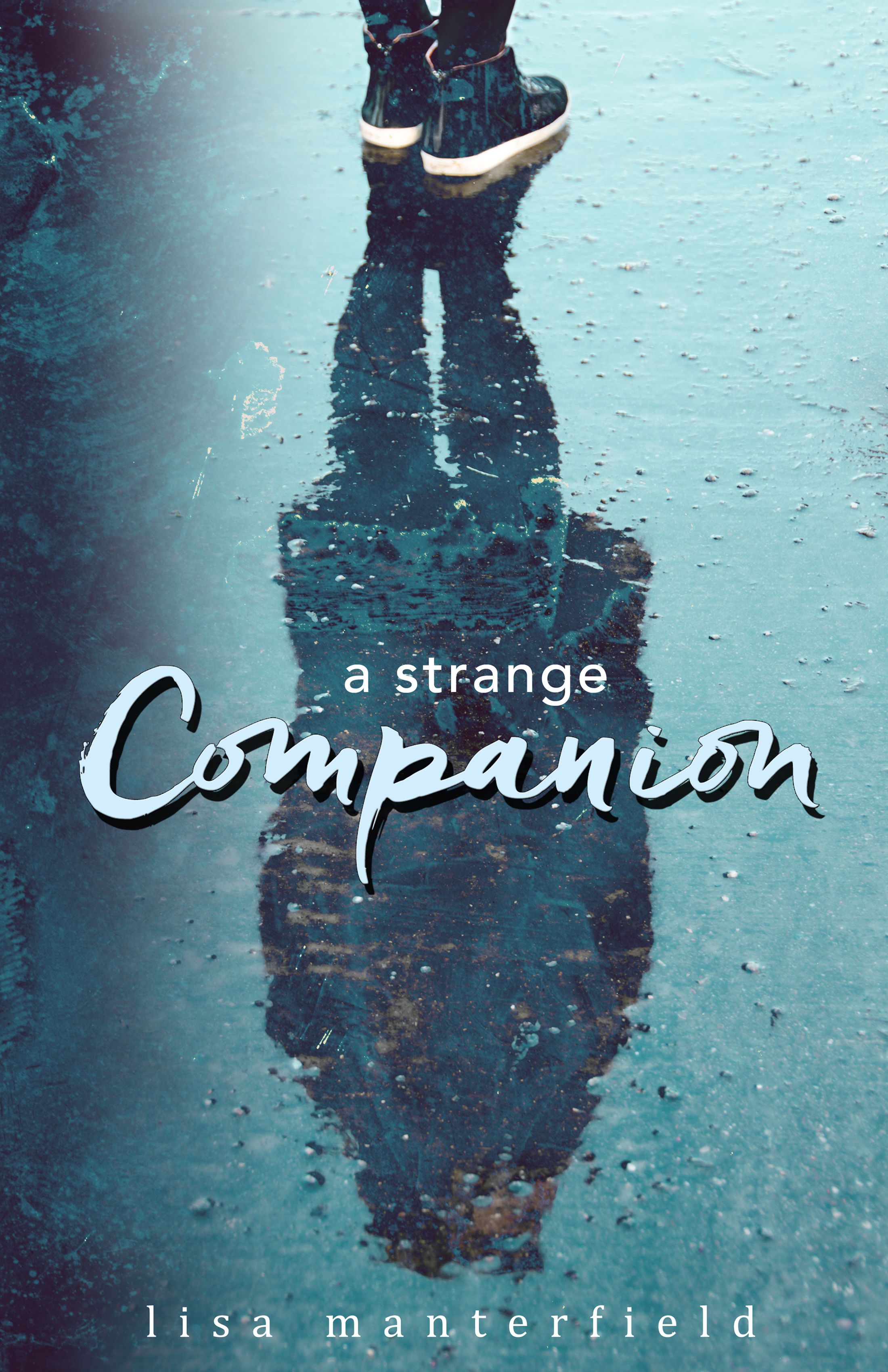 A Strange Companion book cover