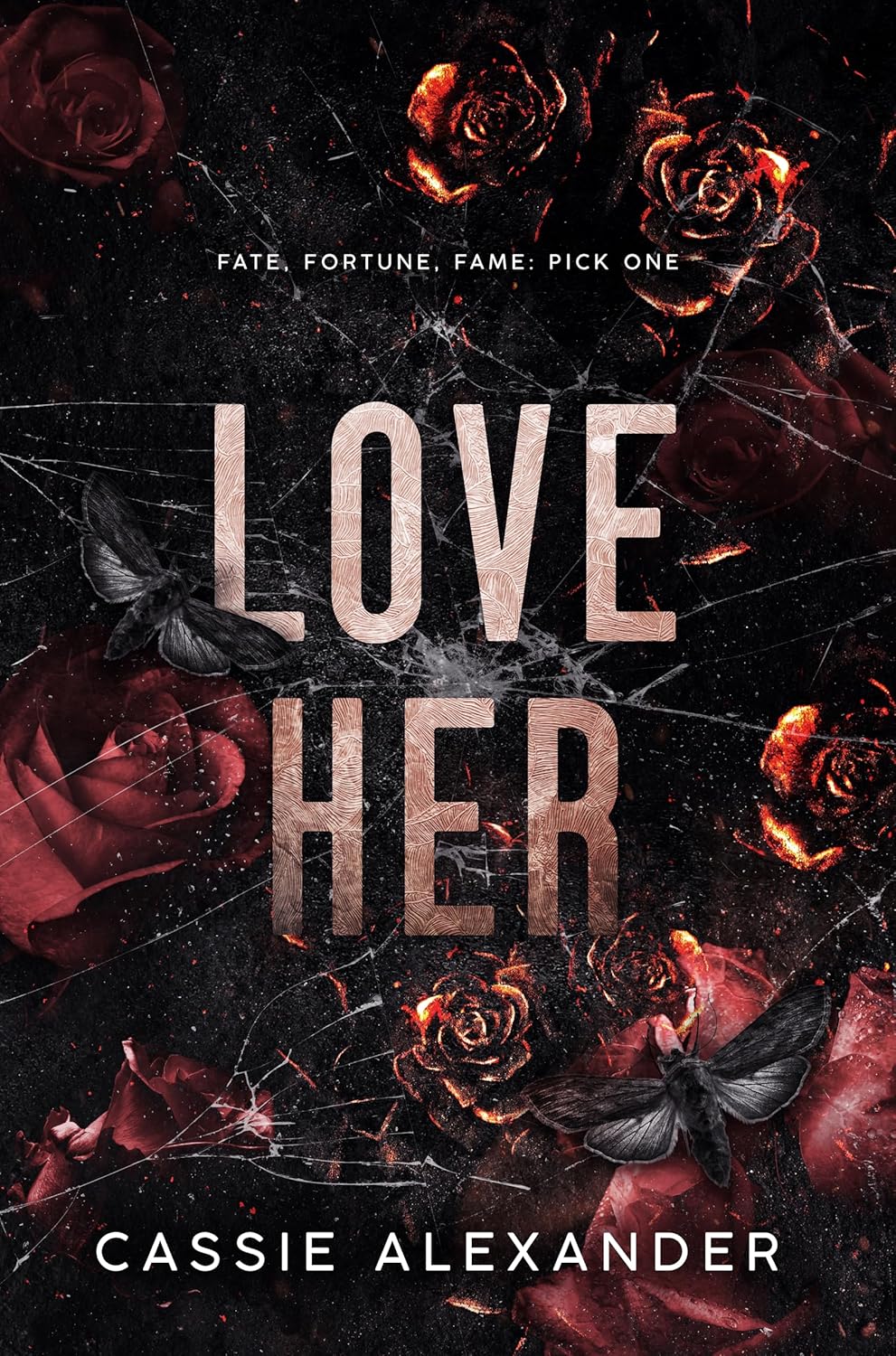 Love Her book cover
