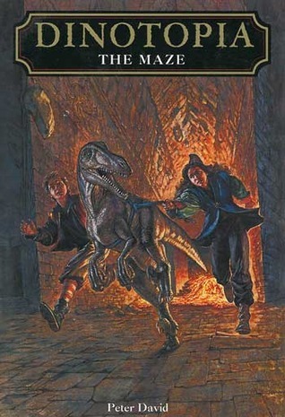 The Maze book cover