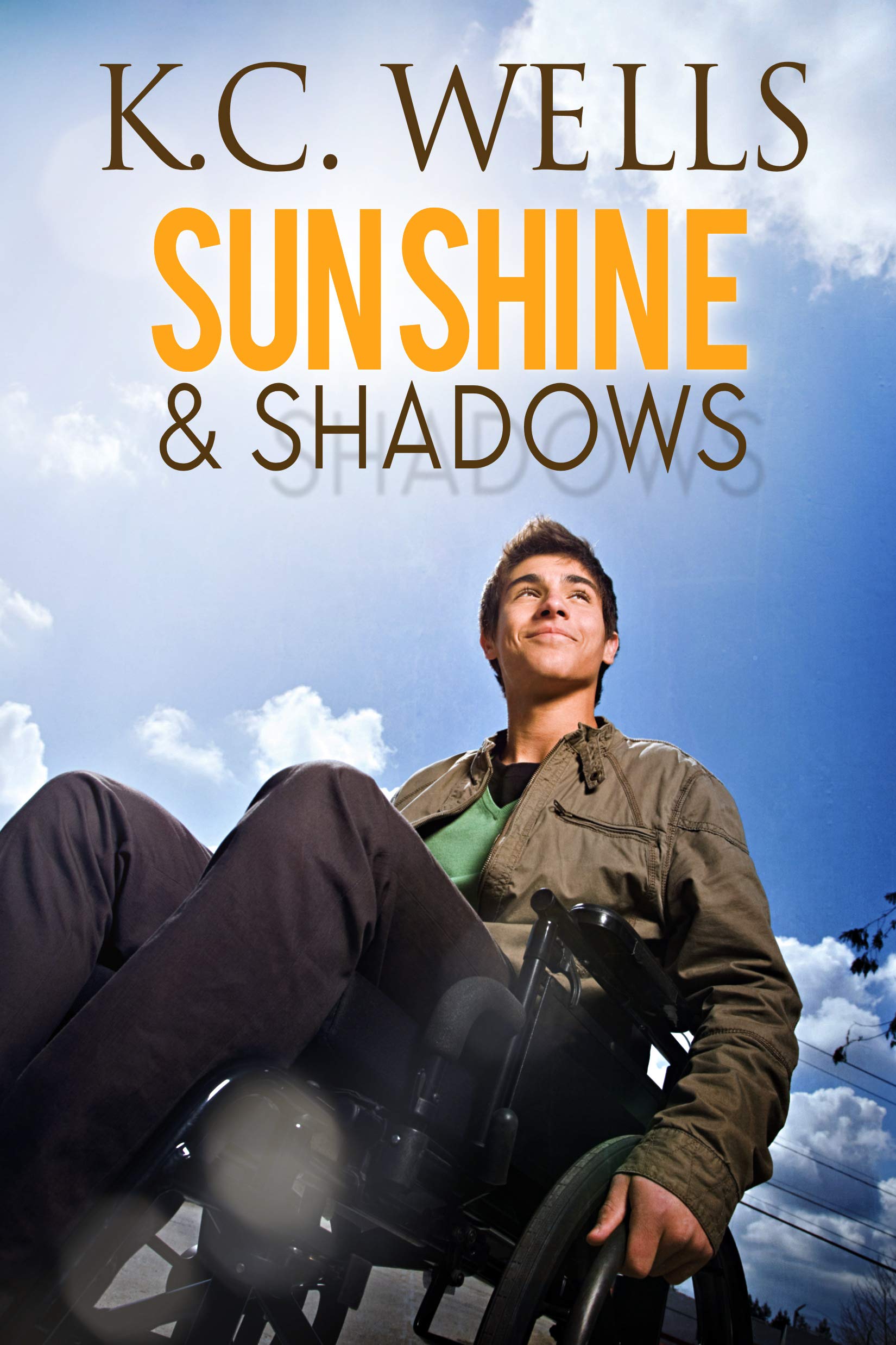 Sunshine & Shadows book cover