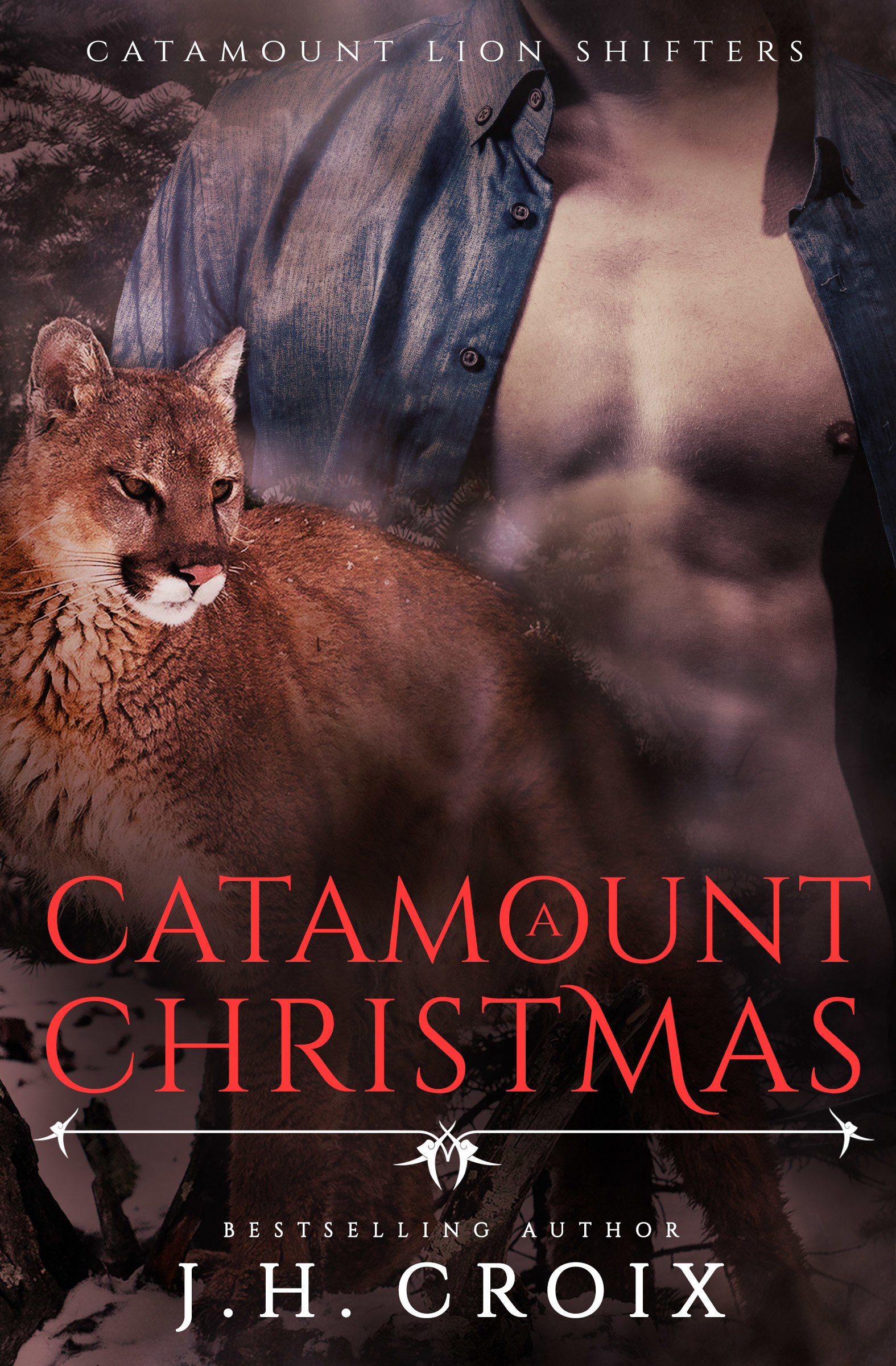 A Catamount Christmas book cover