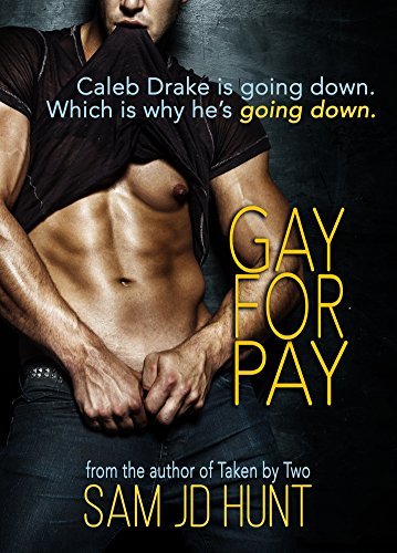 Gay for Pay book cover