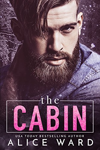 The Cabin book cover