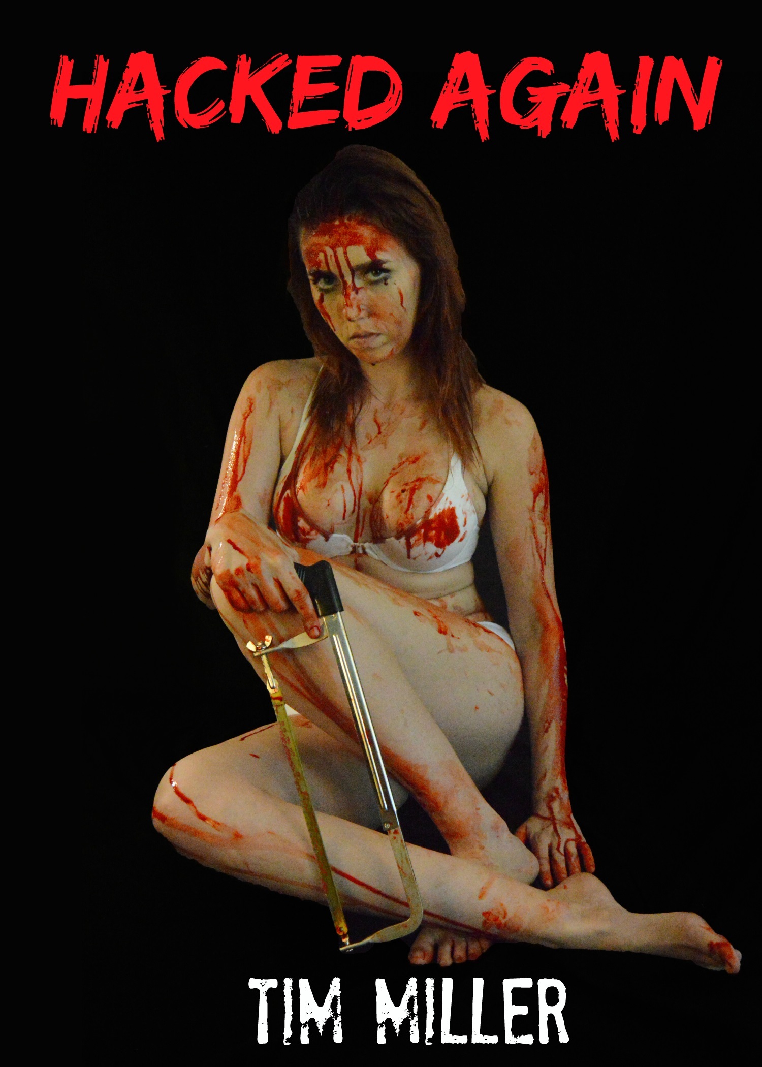Stalkers book cover 2