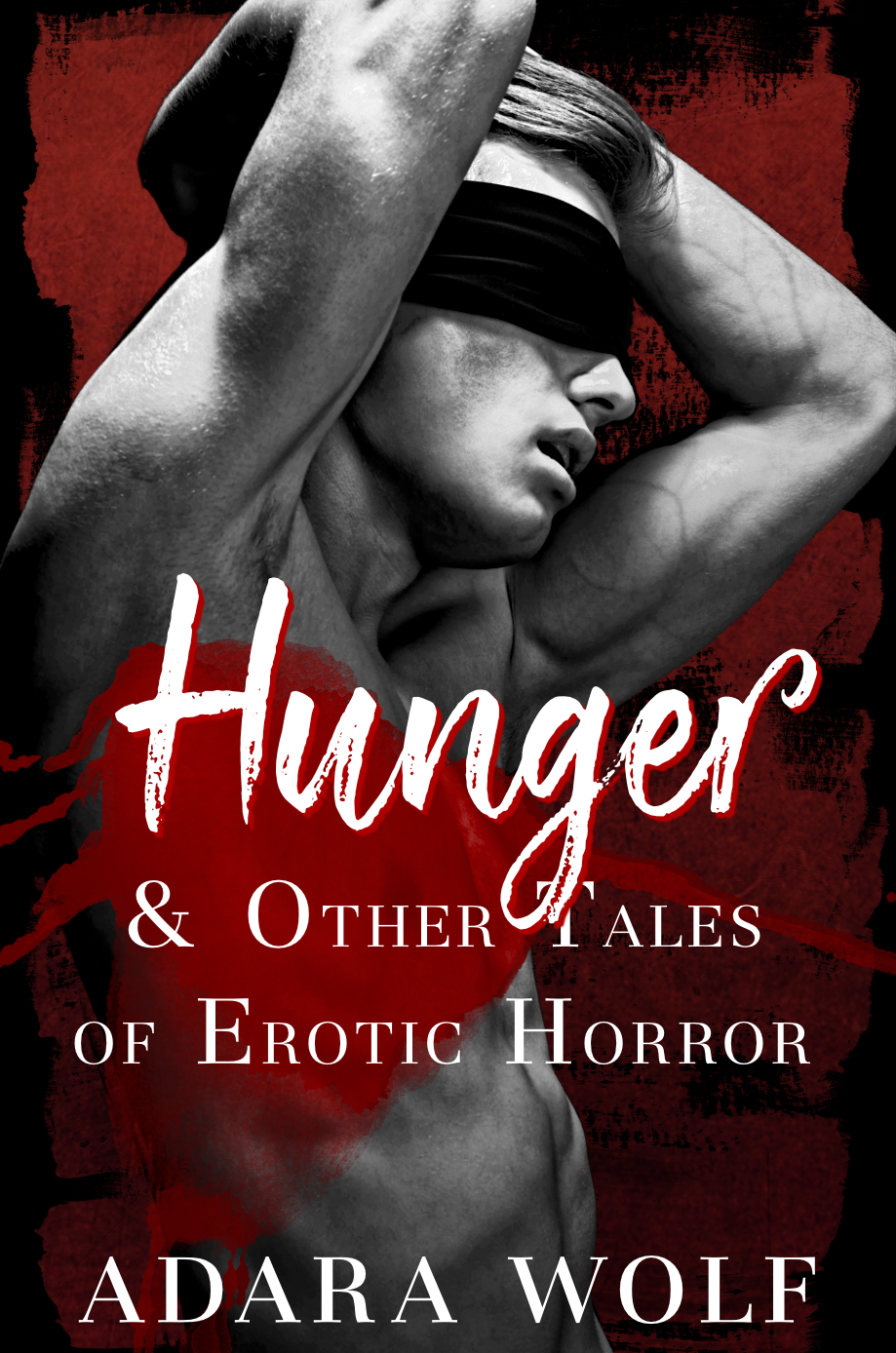 Hunger & Other Tales of Erotic Horror book cover