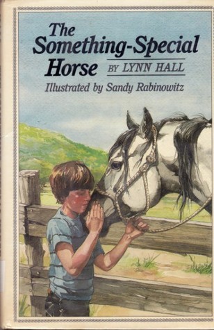 The Something-Special Horse book cover