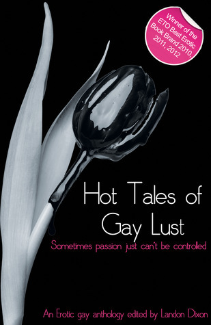 Hot Tales of Gay Lust book cover