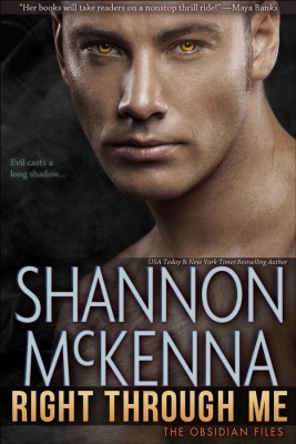 The Obsidian Files book cover 1