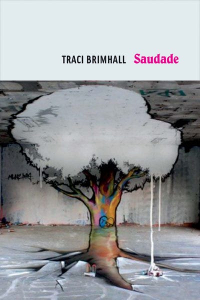 Saudade book cover