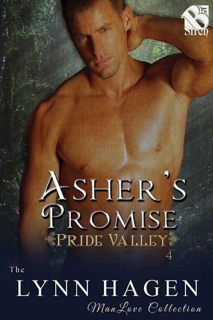 Asher's Promise book cover