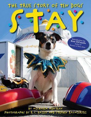 Stay book cover