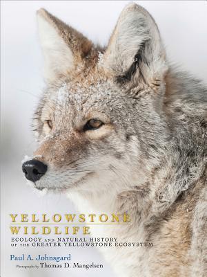 Yellowstone Wildlife book cover