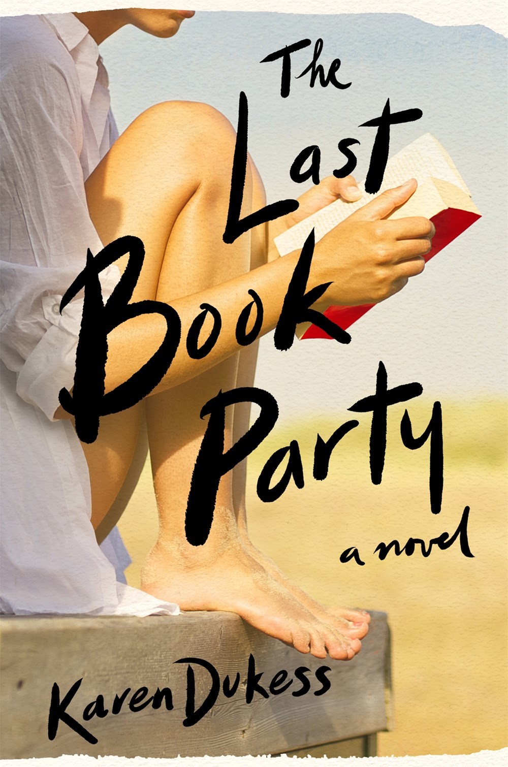 The Last Book Party book cover