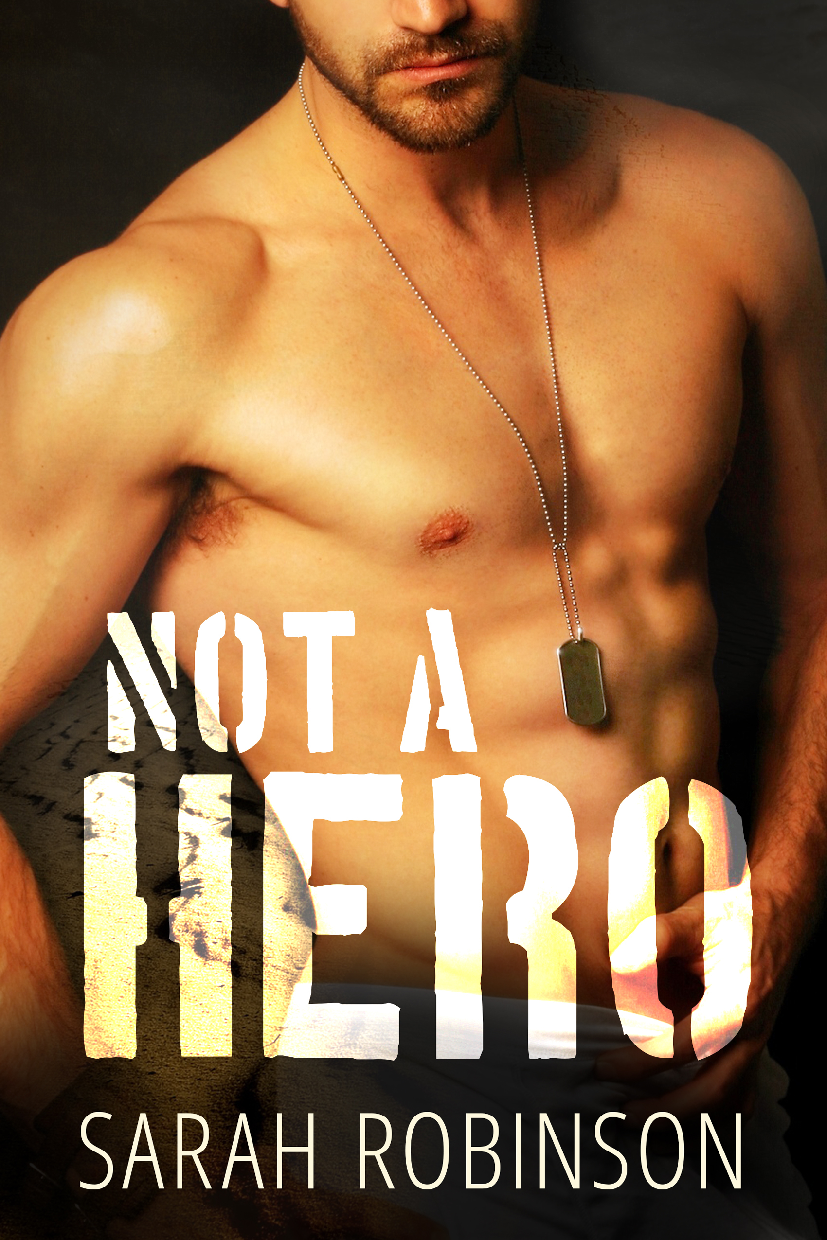 Not a Hero book cover